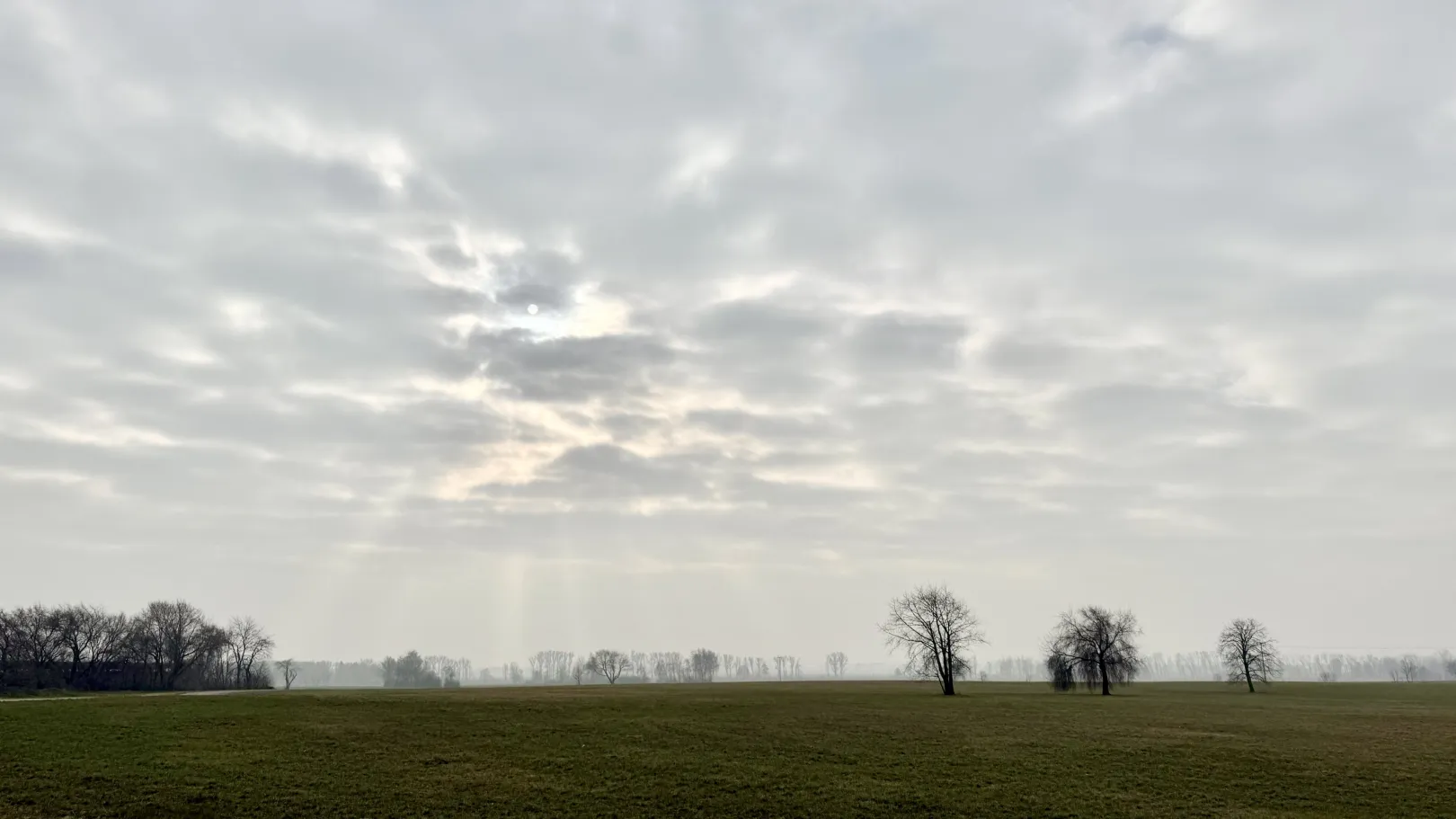 Ich höre zu – ein Jahr im Schweigen