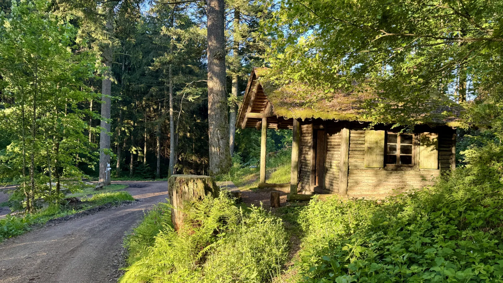 Ich höre zu – ein Jahr im Schweigen