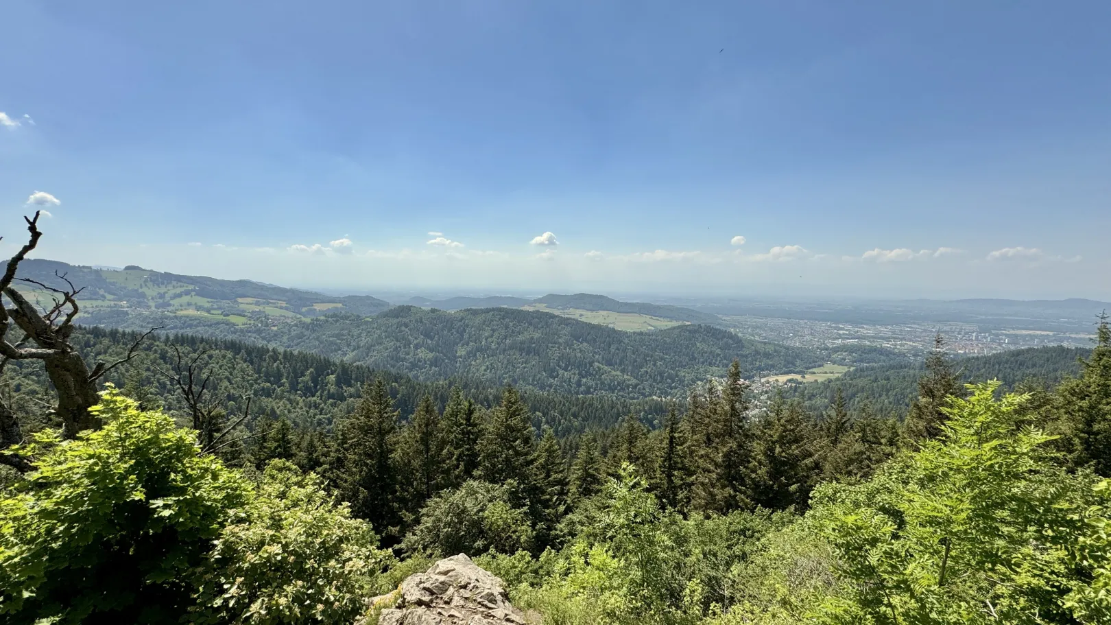 Ich höre zu – ein Jahr im Schweigen