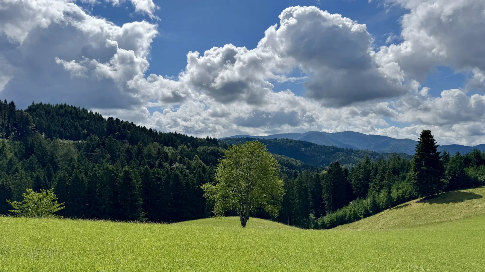 Ich höre zu – ein Jahr im Schweigen