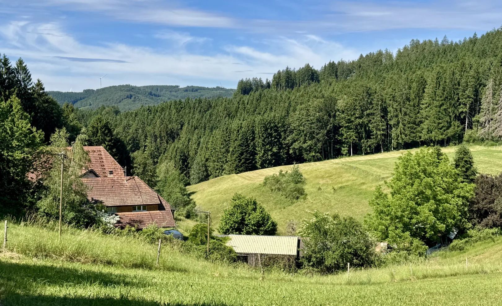 Ich höre zu – ein Jahr im Schweigen