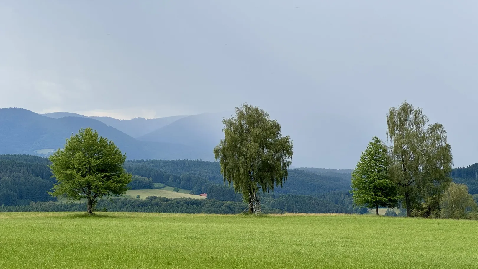 Ich höre zu – ein Jahr im Schweigen