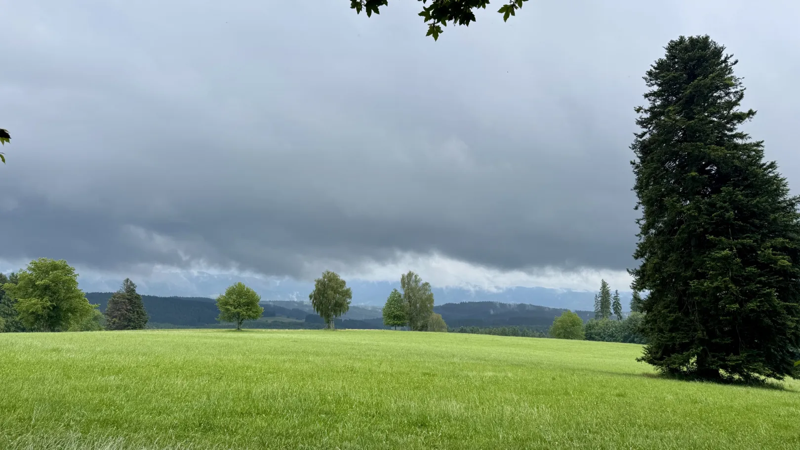 Ich höre zu – ein Jahr im Schweigen