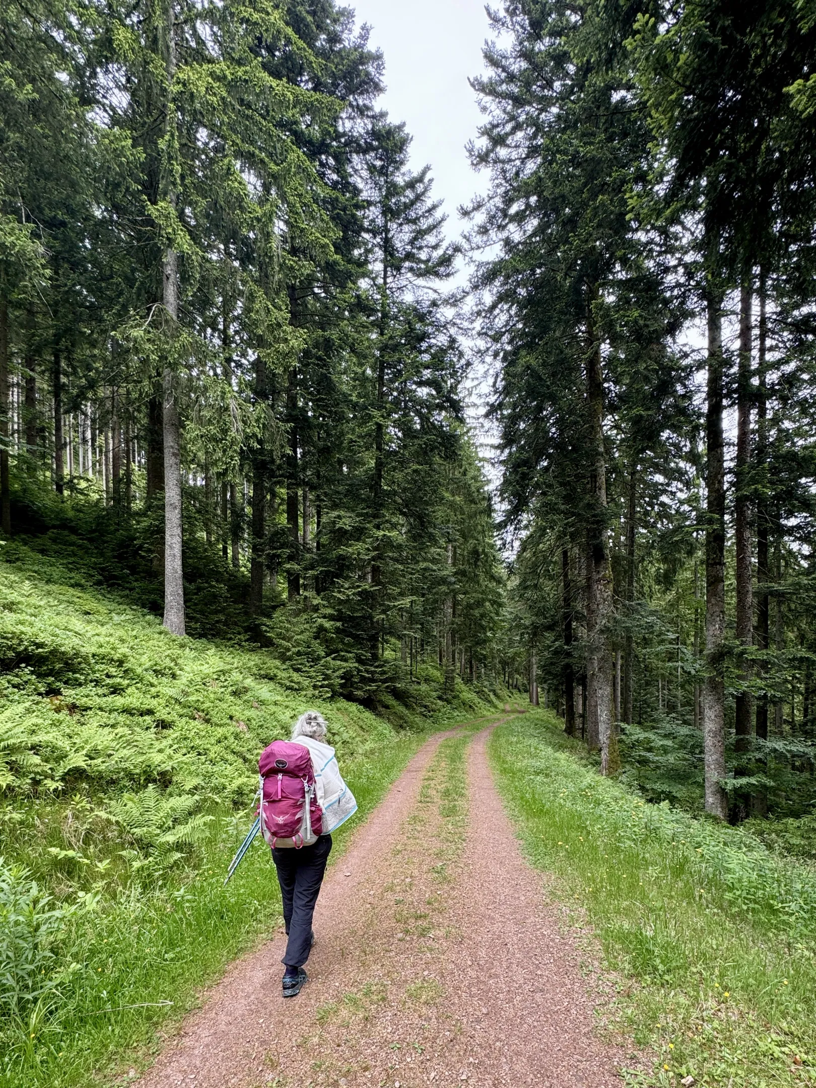 Ich höre zu – ein Jahr im Schweigen